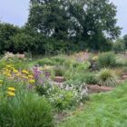 The Blooming Wild Plant Nursery